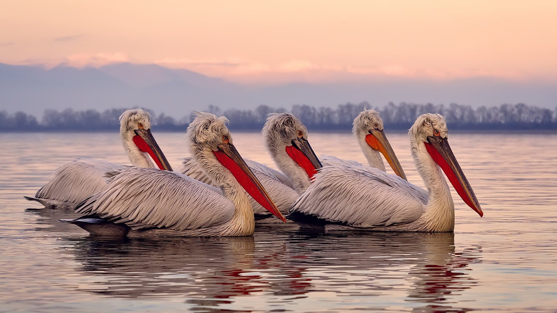 《守望先锋世界百大战，战术与反应的终极对决》，守望先锋百强综合榜