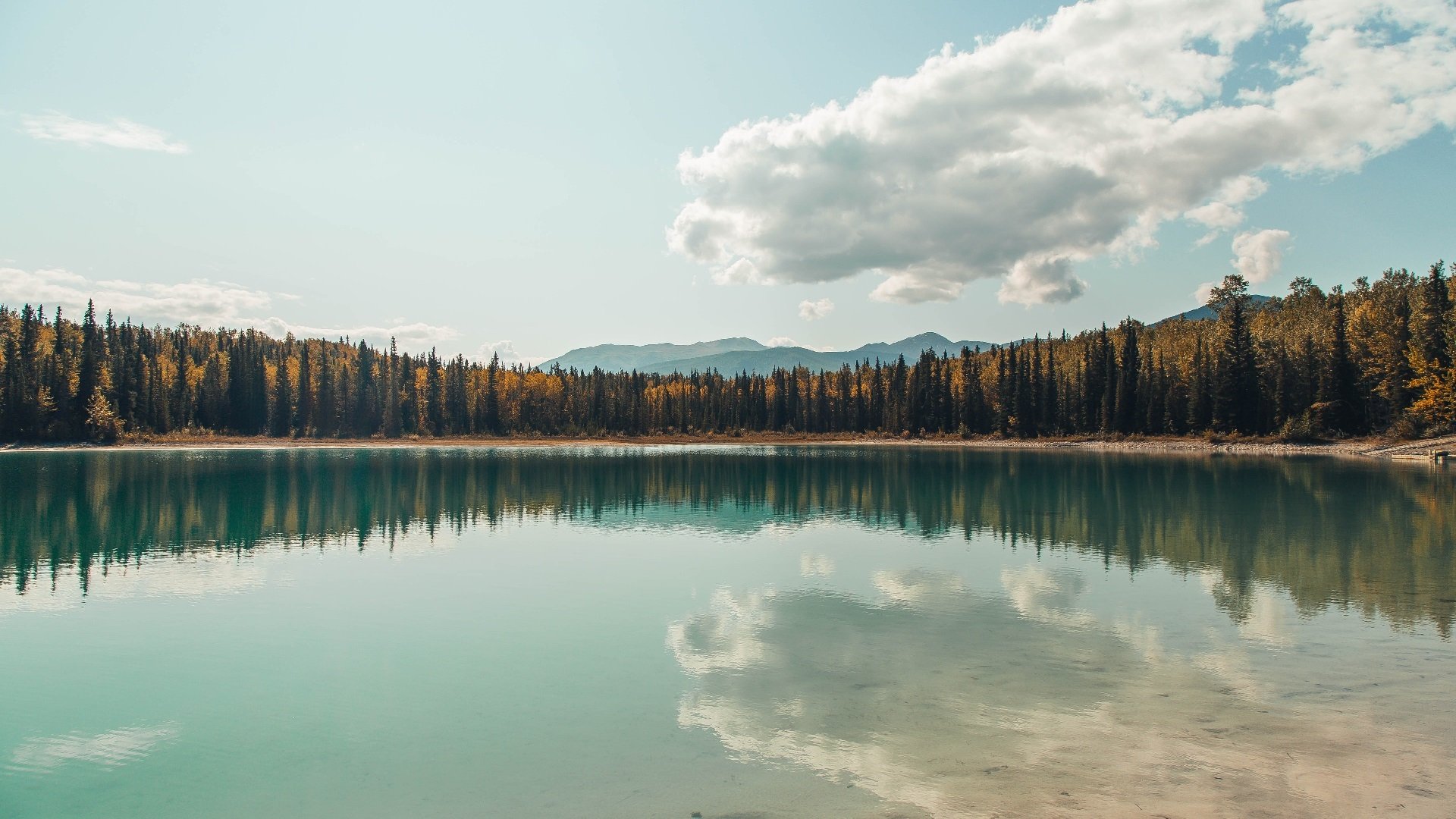 全国青少年足球“带头人”项目强化行业核心人才的打造,全国青少年足球示范学校
