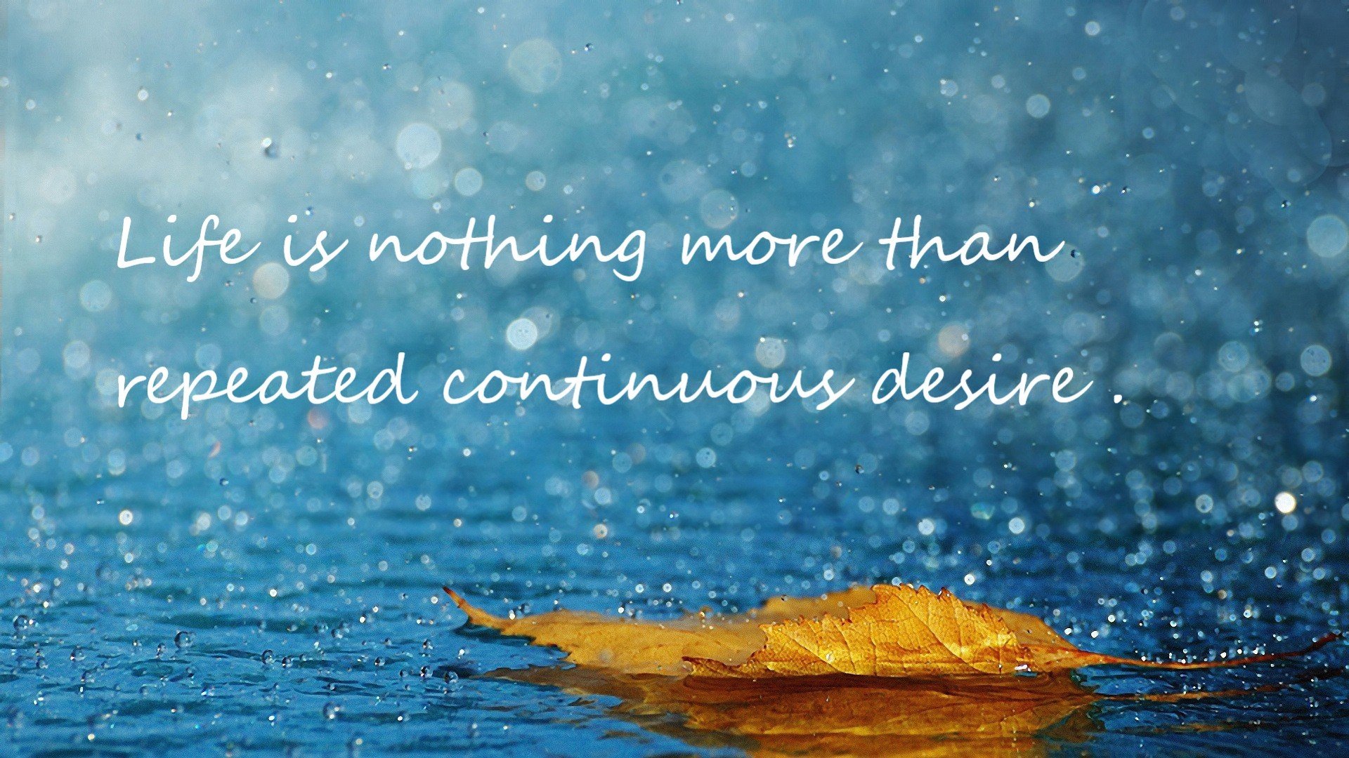 民间篮球组织推动基层赛事蓬勃发展，民间篮球联赛需要哪个单位允许