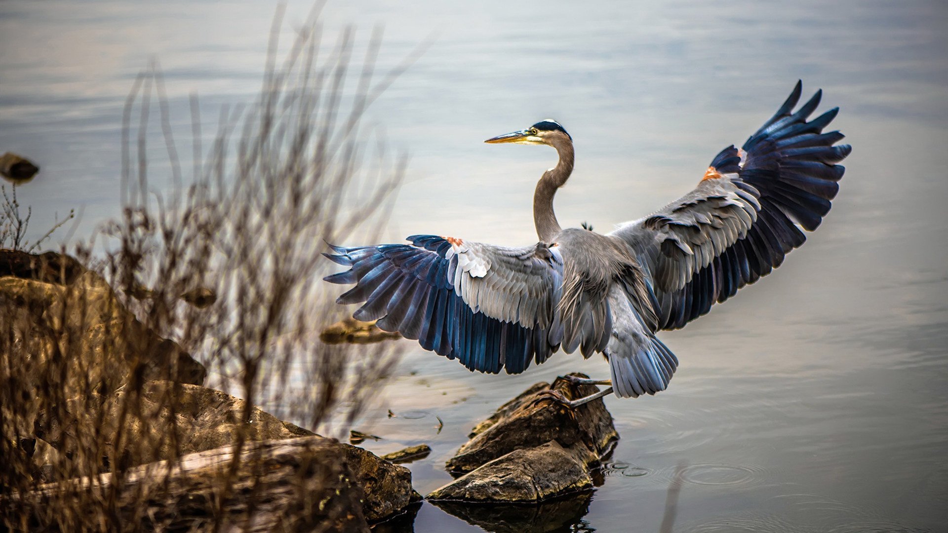 Kaiyun官方登录入口-汉诺威士气高涨，连续获胜，汉诺威有限公司
