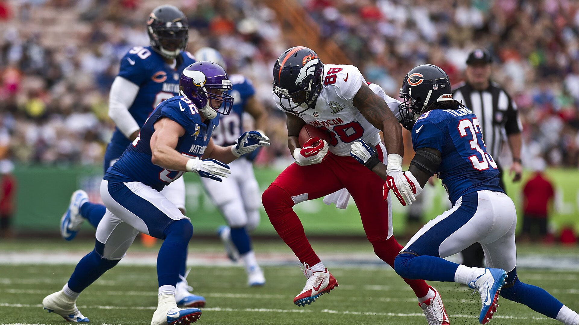 美国马术协会设立“Mustang Challenge”奖学金，支持传统马术研究。，美国马术金牌