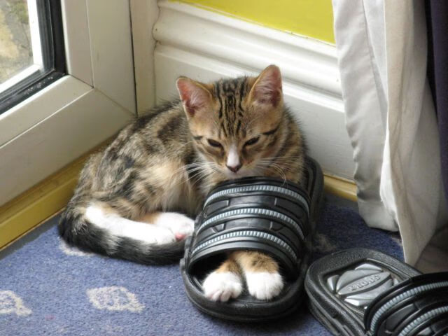 跨界合作成趋势:电竞与电影、动画同步发力,电竞题材影视化