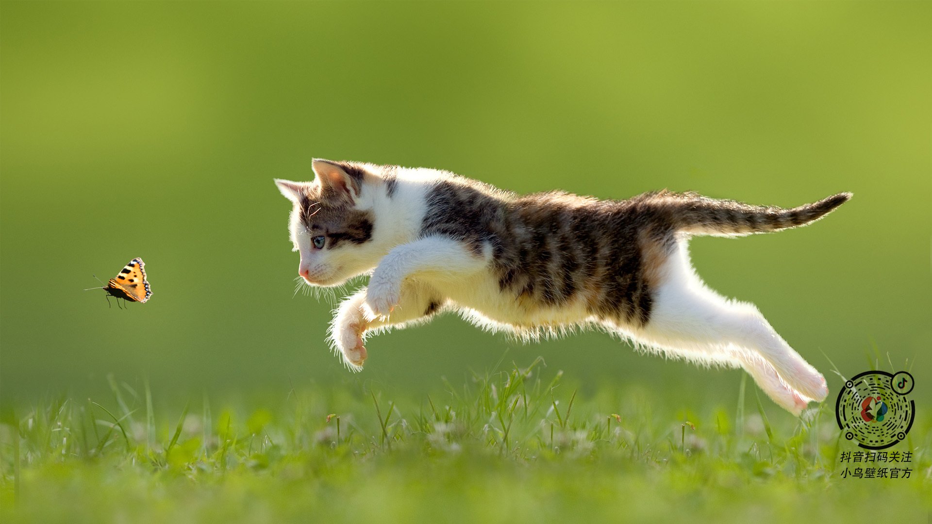 开云·Kaiyun网页版-勒沃库森防线表现稳健，勒沃库森ds