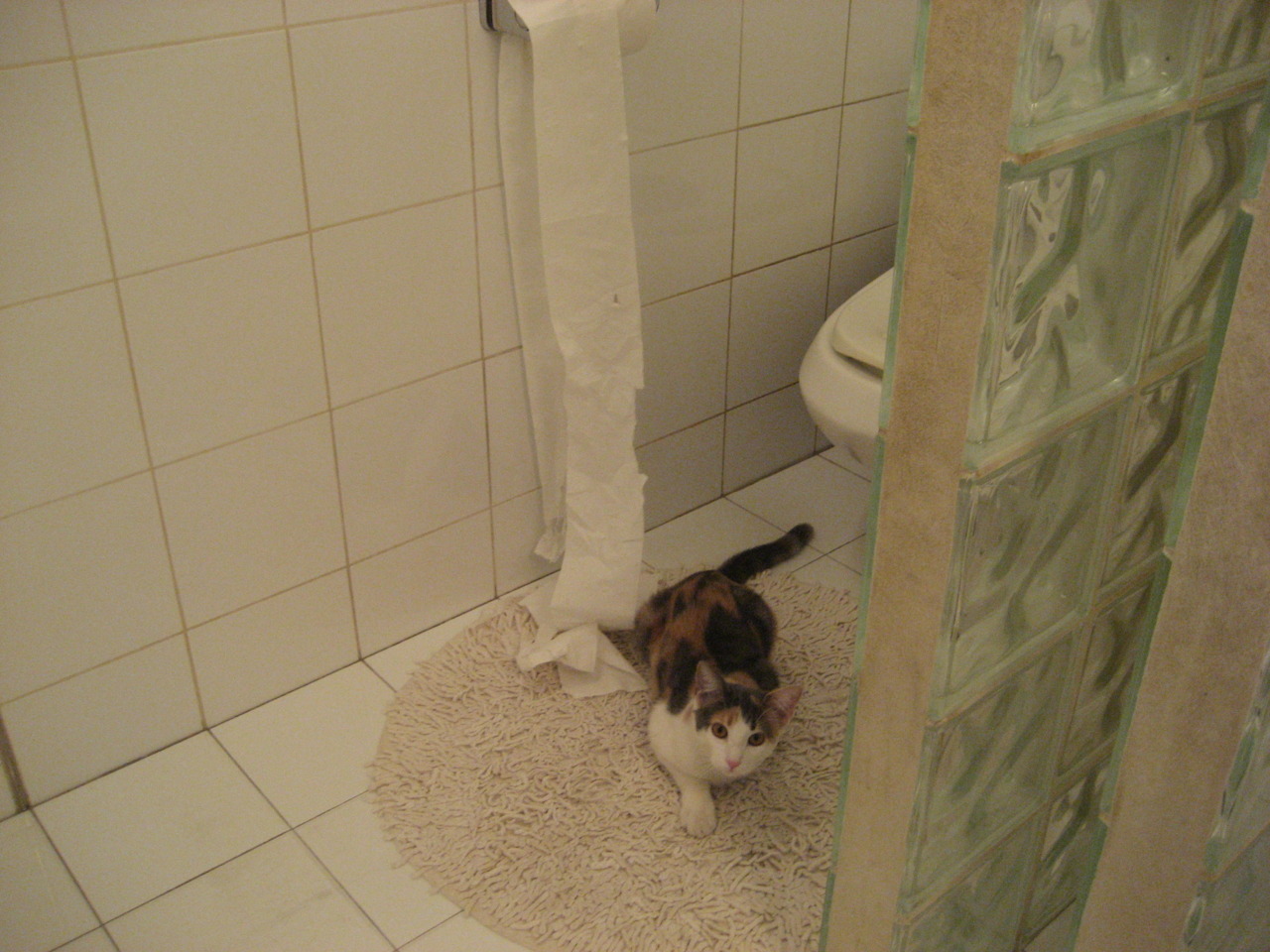 多特蒙德惜败巴黎，在淘汰赛中遗憾止步！，多特蒙德vs巴黎第二回合