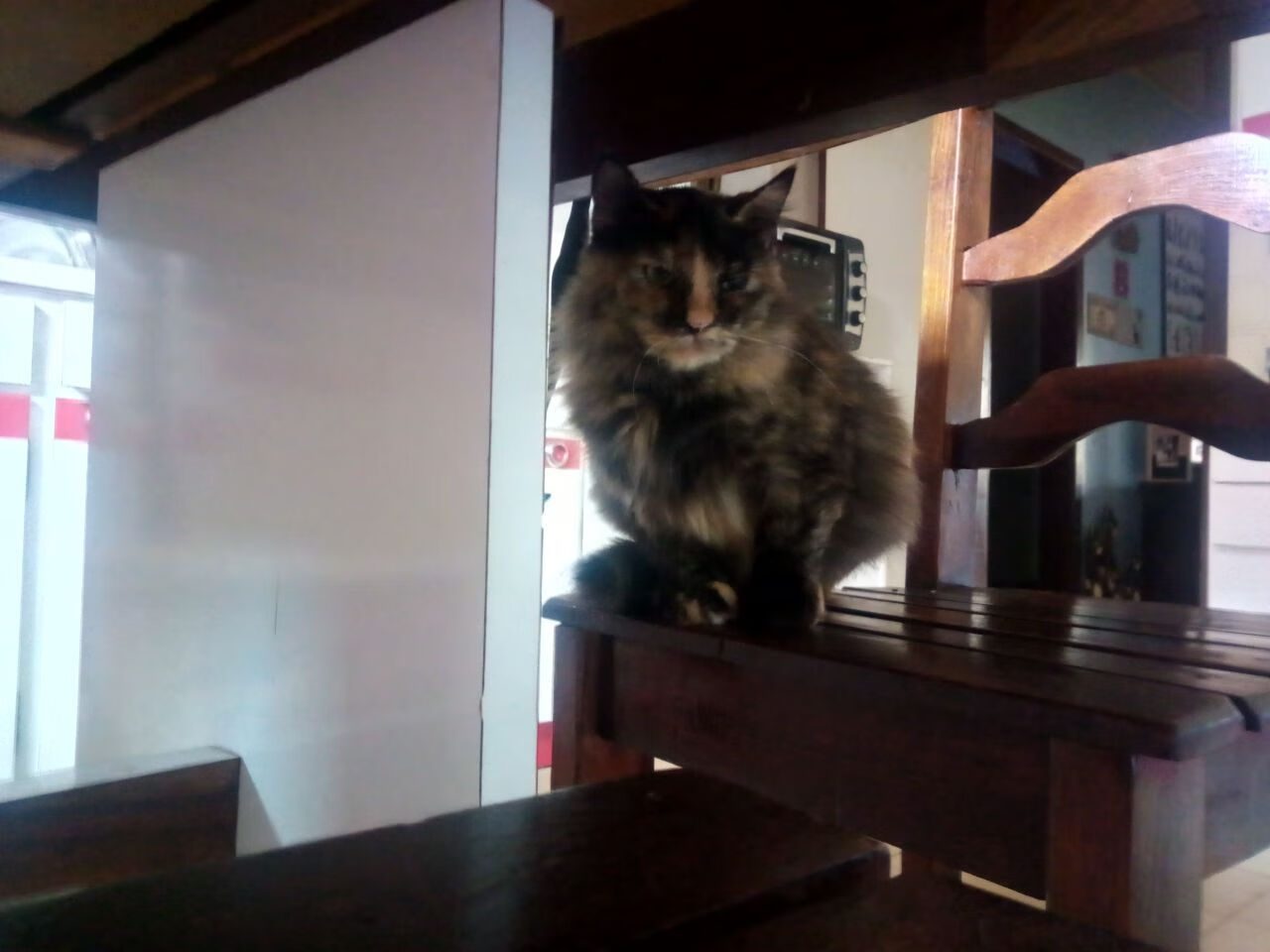 广场舞视频教学平台兴起，广场舞起步动作示范