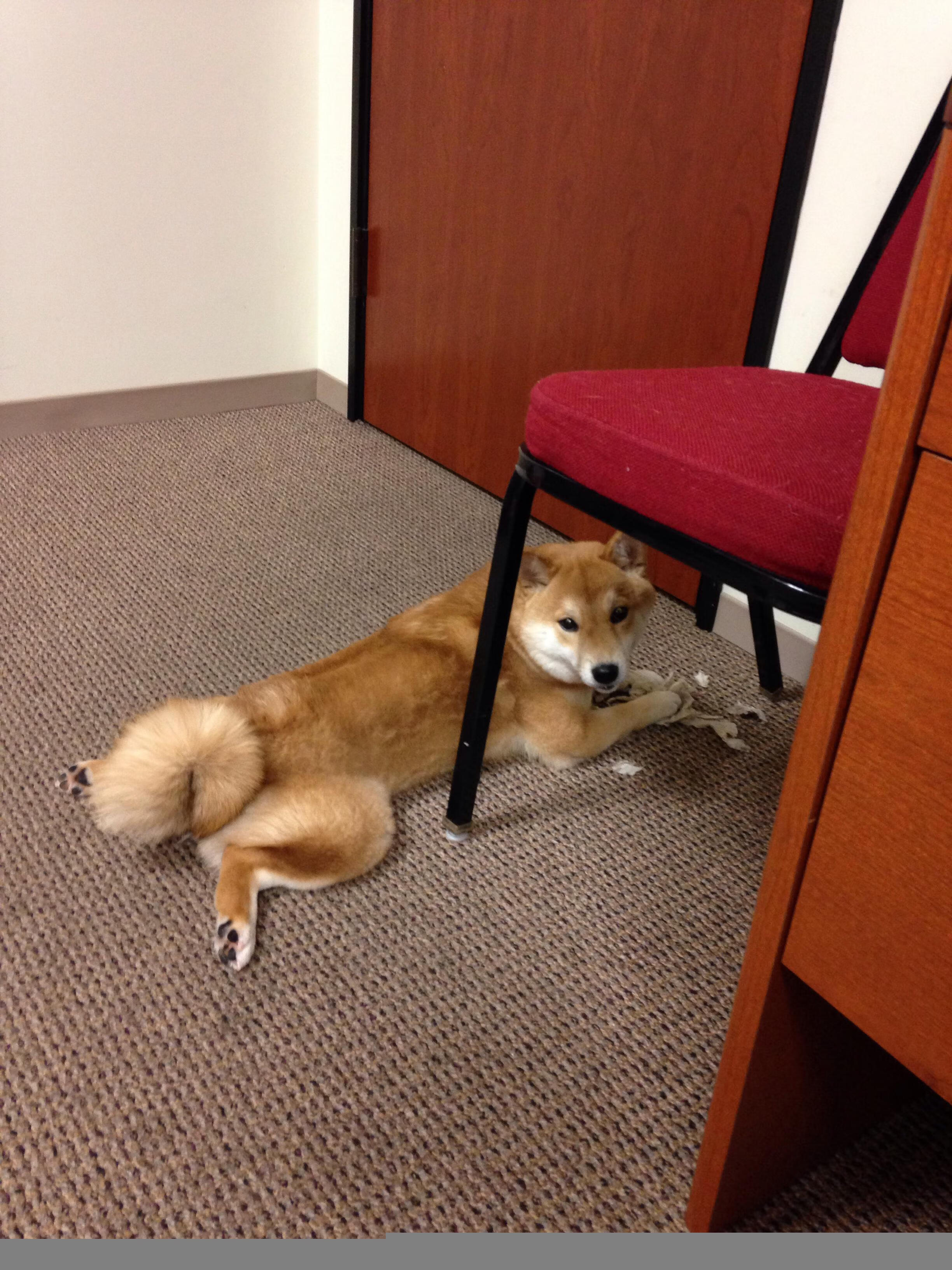 开云网页版登录入口-广场舞进社区活动在各地开展，广场舞进社区活动方案