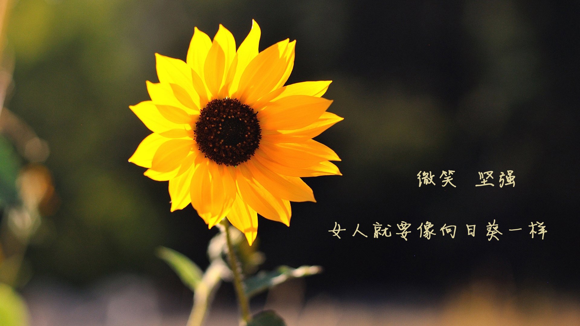 NBA球员在客场作战中的心理适应性训练，nba球员在客场作战中的心理适应性训练是什么