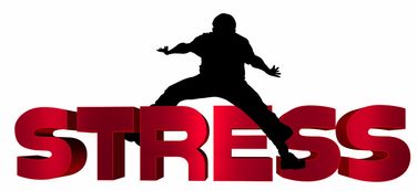 开云·体育官网-NBA球员心理压力识别及干预技术研究，nba球员性格问题