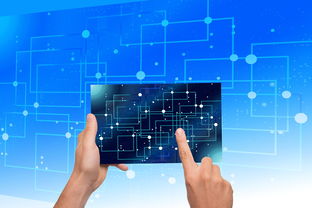 开云官网APP下载-中国篮球教练员战术执行力提升路径及方法研究，如何提高篮球教练员水平