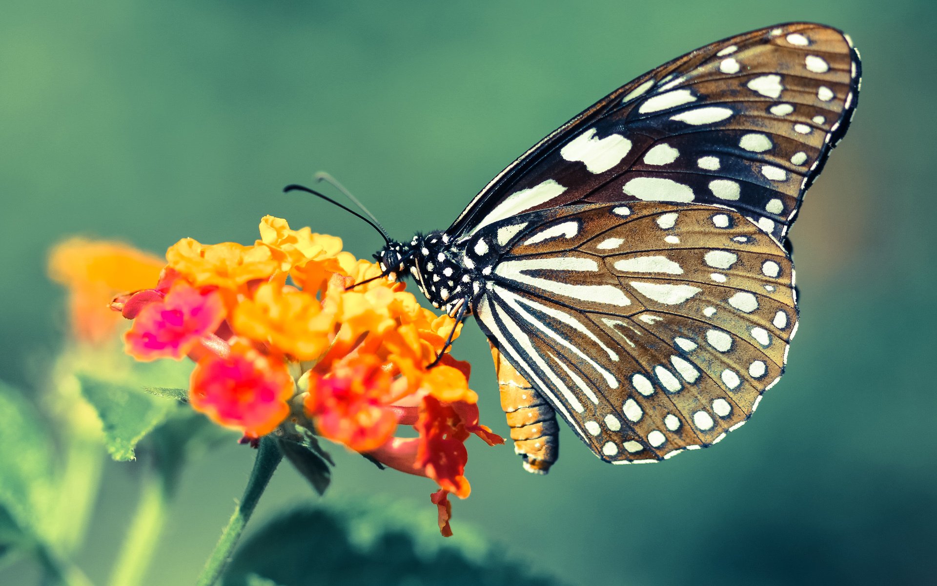 开云·Kaiyun网页版-体育新闻中心建设体育内容原创激励生态体系，优秀体育新闻报道文章