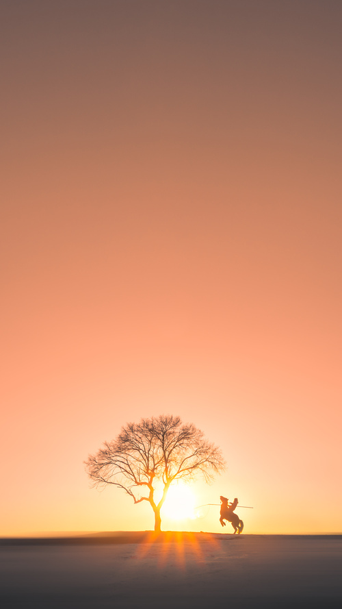 体育新闻中心推动构建国际体育内容交换机制,国际体育交流