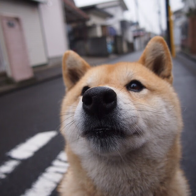 印度队如何在2024年世界杯赛场打破强队束缚,印度进世界杯
