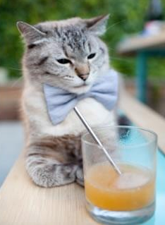 国际乒联混合团体世界杯：新加坡队如何突破强敌展现实力，乒乓 新加坡