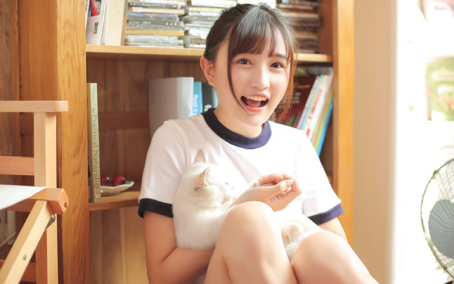 美国队在国际乒联混合团体世界杯中的成绩与亮点，美国乒乓国家队