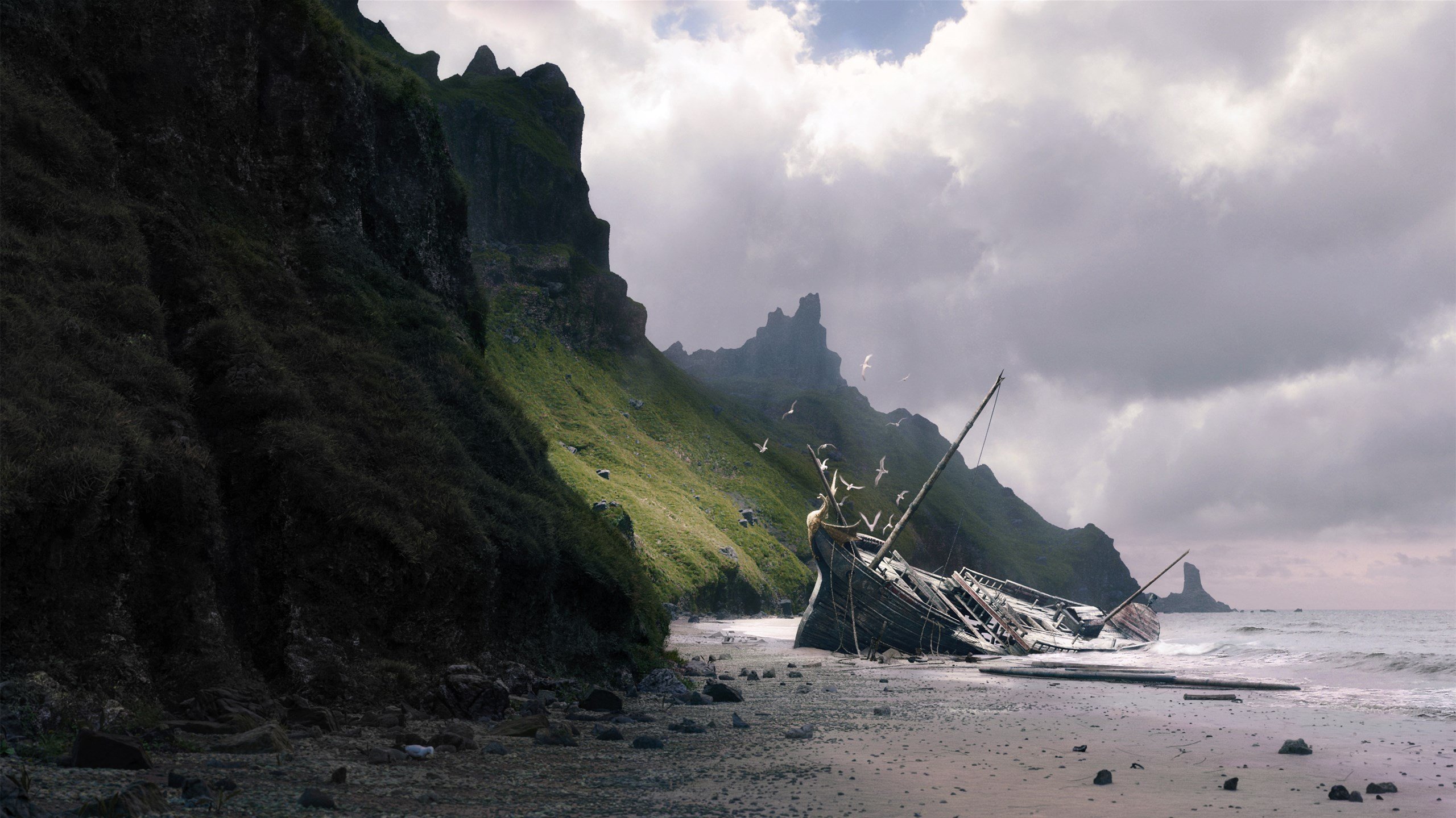 张伟丽为训练馆搬迁剪彩表达感谢,张伟丽教练团队介绍